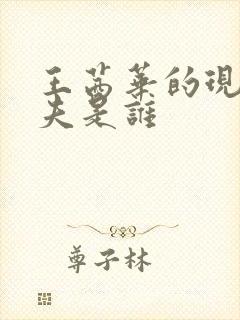 王茜华的现任丈夫是谁