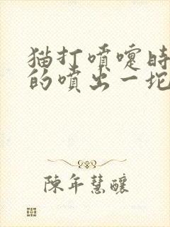 猫打喷嚏时不时的喷出一坨脓鼻涕