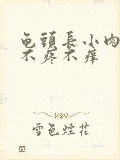 龟头长小肉疙瘩不疼不痒