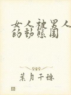 女人被男人插b的动态图