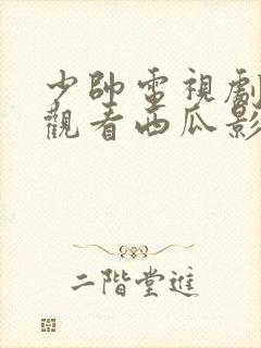 少帅电视剧免费观看西瓜影院封面