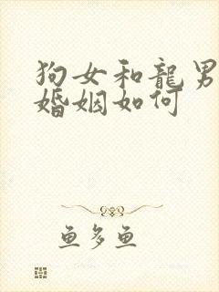 狗女和龙男相配婚姻如何