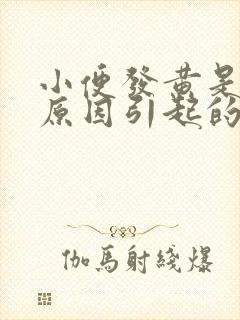 小便发黄是什么原因引起的