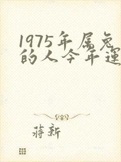 1975年属兔的人今年运气怎么样