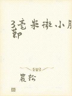 3毫米微小肺结节