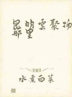 昆明云聚物流在哪里封面