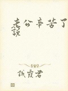 老公辛苦了怎么说封面