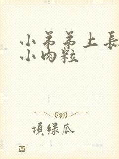 小弟弟上长很多小肉粒