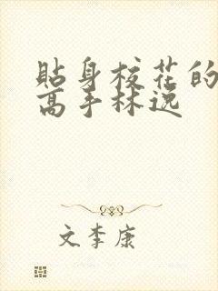 贴身校花的贴身高手林逸