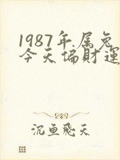 1987年属兔今天偏财运好不好