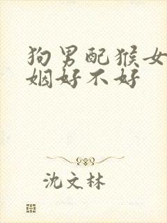 狗男配猴女的婚姻好不好封面