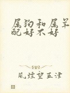 属狗和属羊的婚配好不好