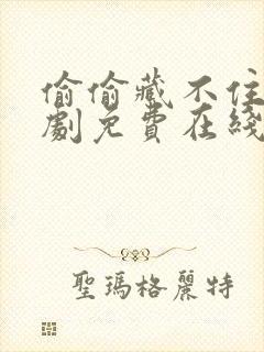 偷偷藏不住电视剧免费在线观看全集