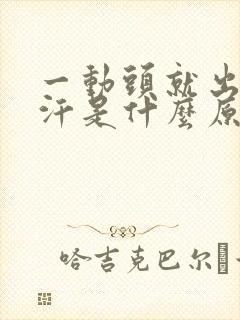 一动头就出很多汗是什么原因