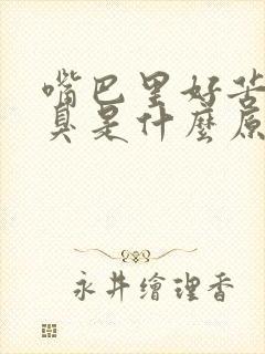 嘴巴里好苦 又臭是什么原因