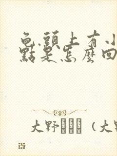 龟.头上有小红点是怎么回事痒