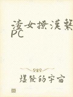 渣女撩汉系统NPC