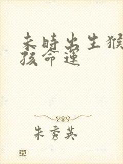 未时出生猴的男孩命运