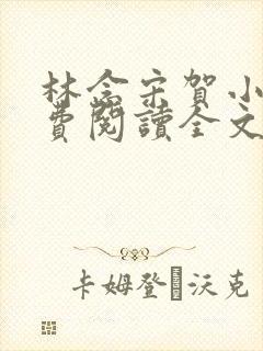 林念宋贺小说免费阅读全文最新章节列表