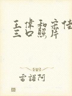 王伟和宋佳一家三口照片