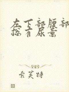 左下部腹部疼痛总有尿意