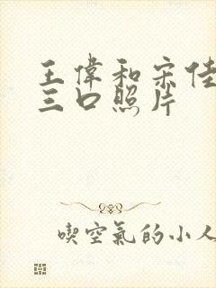 王伟和宋佳一家三口照片