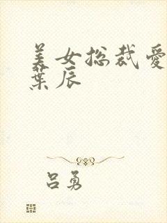 美女总裁爱上我叶辰封面