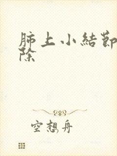 肺上小结节 消除封面