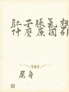 肚子胀气想吐是什么原因引起的