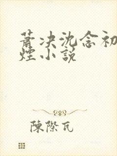 萧决沈念初柳如烟小说封面