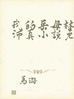 我的岳母林道苏沛真小说免费阅读