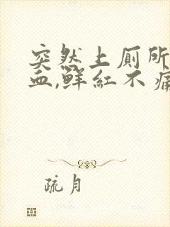 突然上厕所拉出血,鲜红不痛