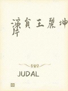 演员王丽坤的照片