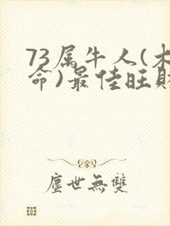 73属牛人(木命)最佳旺财网名