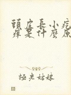 头皮长小疙瘩很痒是什么原因