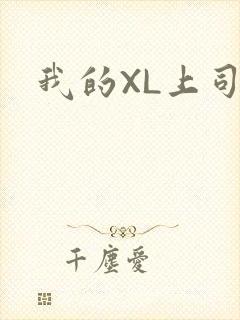 我的XL上司