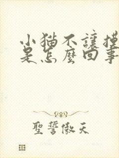 小猫不让摸肚子是怎么回事