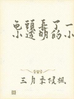 龟头长了一圈很小透明的小肉粒封面