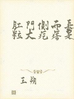 肛门侧面长个豆粒大疙瘩是什么情况