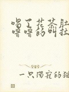 喝了花茶肚子咕噜噜的叫拉稀封面