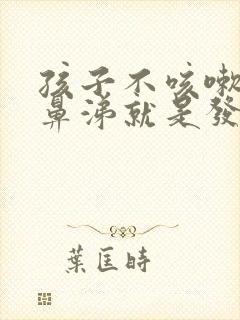 孩子不咳嗽不流鼻涕就是发烧怎么回事