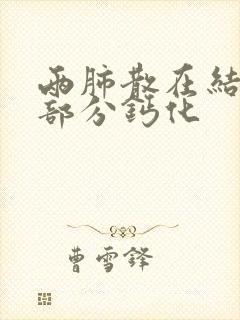 两肺散在结节,部分钙化封面