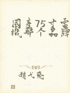 国产75寸电视机哪个品牌好性价比高封面