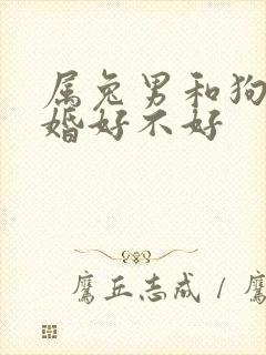 属兔男和狗女结婚好不好