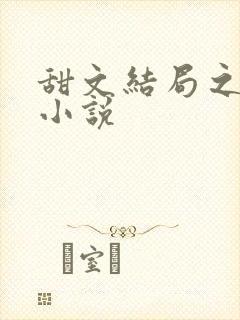 甜文结局之后的小说