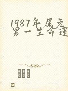 1987年属兔男一生命运及婚姻