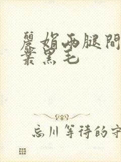 丽娟两腿间一大丛黑毛封面
