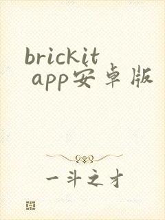 brickit app安卓版