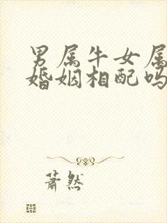 男属牛女属鸡的婚姻相配吗