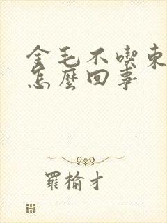 金毛不吃东西了怎么回事